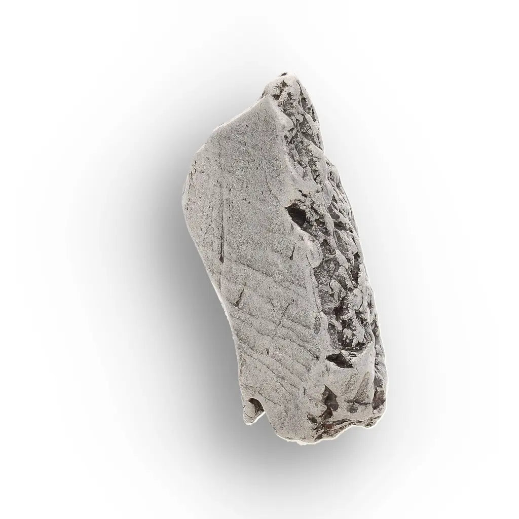 Aletai Meteorite – Tall Textured Iron Meteorite Specimen