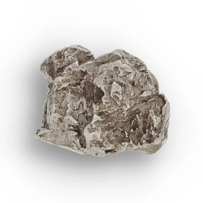 Get your Aletai Iron Meteorite – Rare Space Metal Specimen online now or in store at Forever Gems in Franschhoek, South Africa