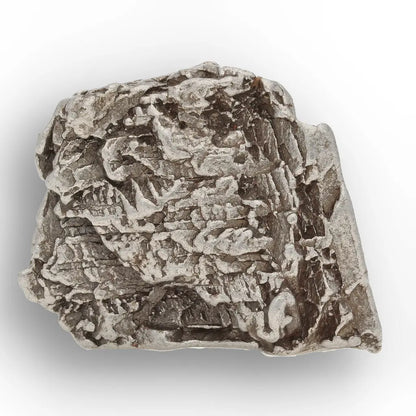 Get your Aletai Meteorite Fragment – Natural Iron Space Rock online now or in store at Forever Gems in Franschhoek, South Africa