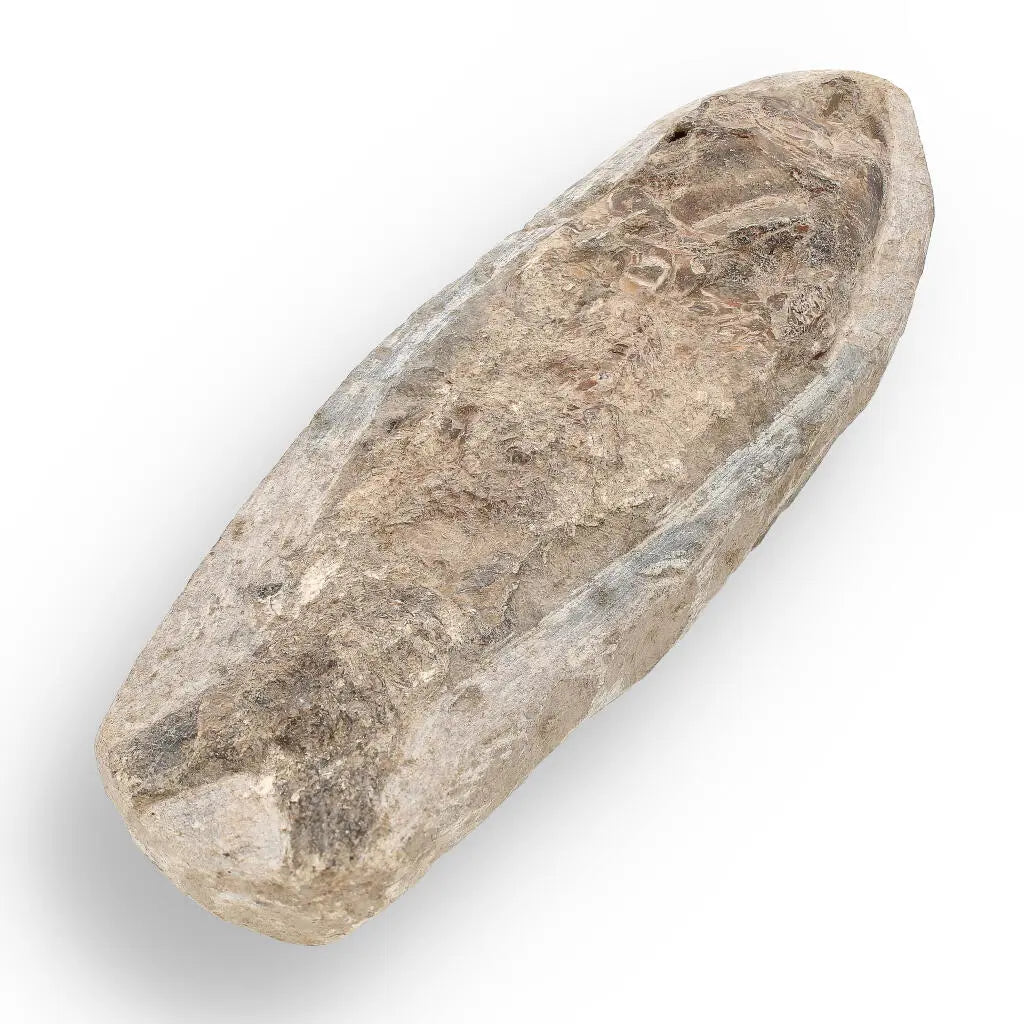 Buy your Brazilian Fossil Fish: Natural History's Gem online now or in store at Forever Gems in Franschhoek, South Africa