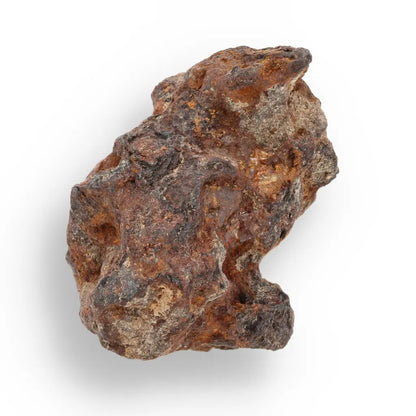Get your 52g Sericho Pallasite Meteorite – Rare Rough Stony-Iron Meteorite online now or in store at Forever Gems in Franschhoek, South Africa