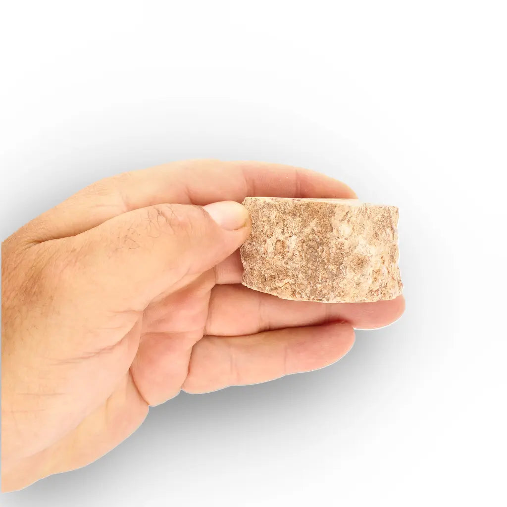 Get your Small Petrified Wood Branch from Ambilobe Madagascar – Natural Fossil Wood with Polished Face online now or in store at Forever Gems in Franschhoek, South Africa