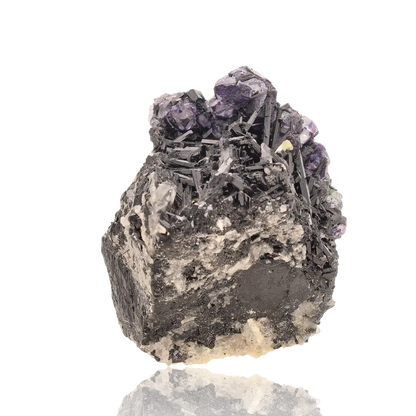 Buy your Erongo Schorl Tourmaline with Fluorite online now or in store at Forever Gems in Franschhoek, South Africa