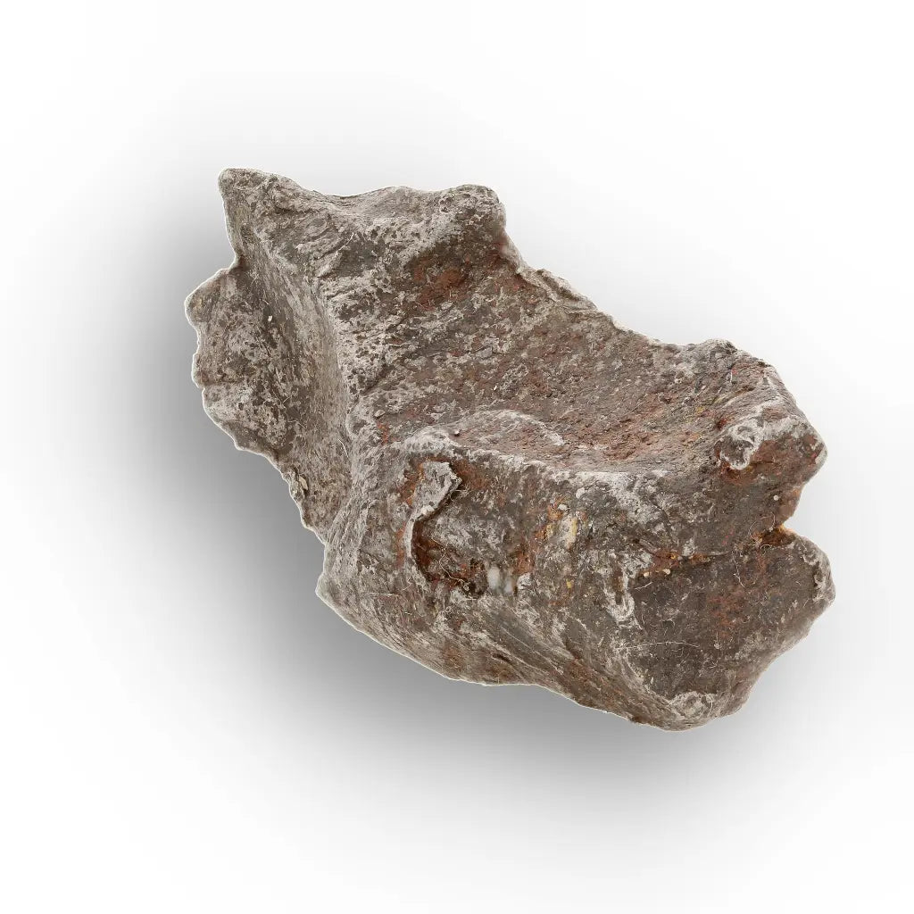 Get your Gebel Kamil Iron Meteorite – A Sahara Impact Space Rock from Egypt online now or in store at Forever Gems in Franschhoek, South Africa