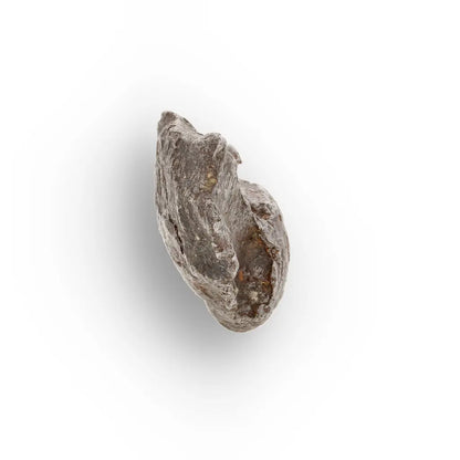 Get your Gebel Kamil Iron Meteorite – A Sahara Impact Space Rock from Egypt online now or in store at Forever Gems in Franschhoek, South Africa