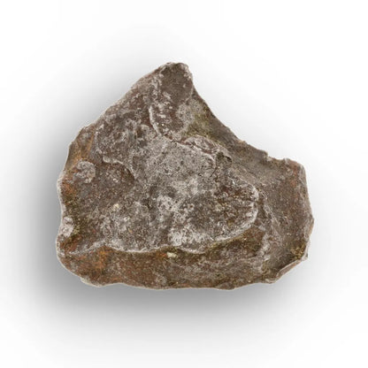 Get your Genuine Gebel Kamil Meteorite Fragment – Iron Meteorite from Egypt Crater online now or in store at Forever Gems in Franschhoek, South Africa