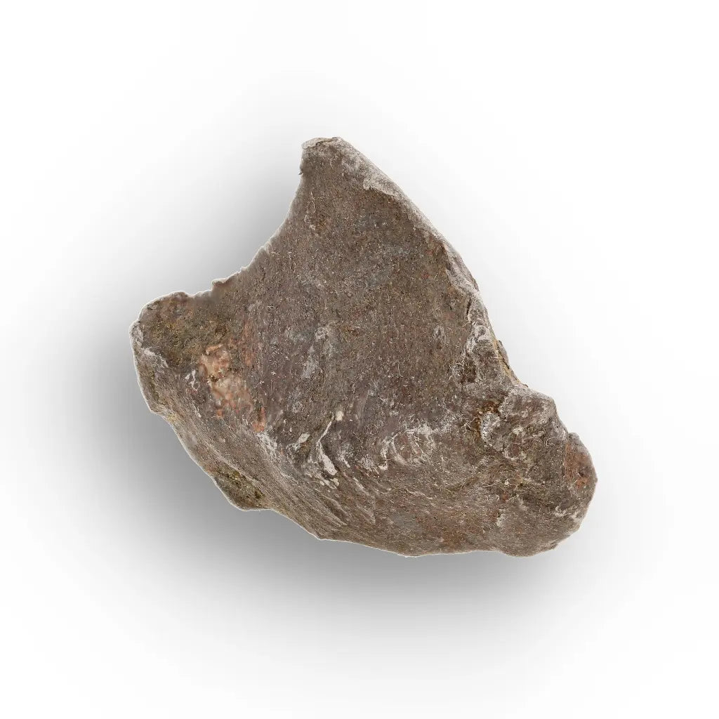 Get your Genuine Gebel Kamil Meteorite Fragment – Iron Meteorite from Egypt Crater online now or in store at Forever Gems in Franschhoek, South Africa