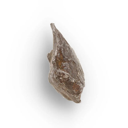 Get your Genuine Gebel Kamil Meteorite Fragment – Iron Meteorite from Egypt Crater online now or in store at Forever Gems in Franschhoek, South Africa