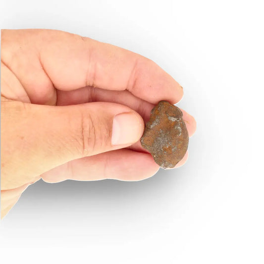 Get your Gebel Kamil Meteorite – A Piece of the Famous Sahara Impact Crater online now or in store at Forever Gems in Franschhoek, South Africa