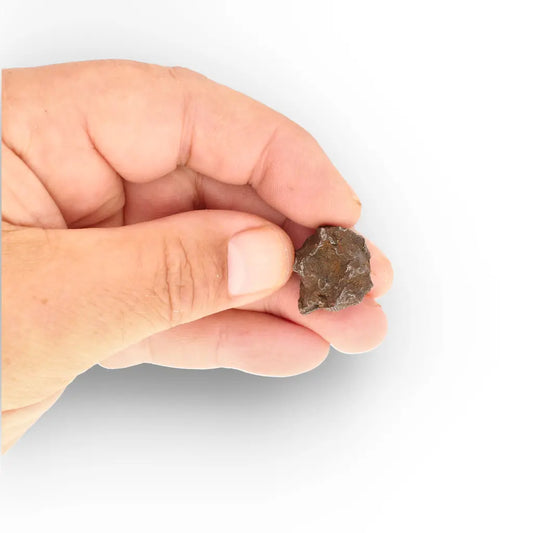 Get your Authentic Gebel Kamil Meteorite Fragment – From Asteroid to Sahara online now or in store at Forever Gems in Franschhoek, South Africa