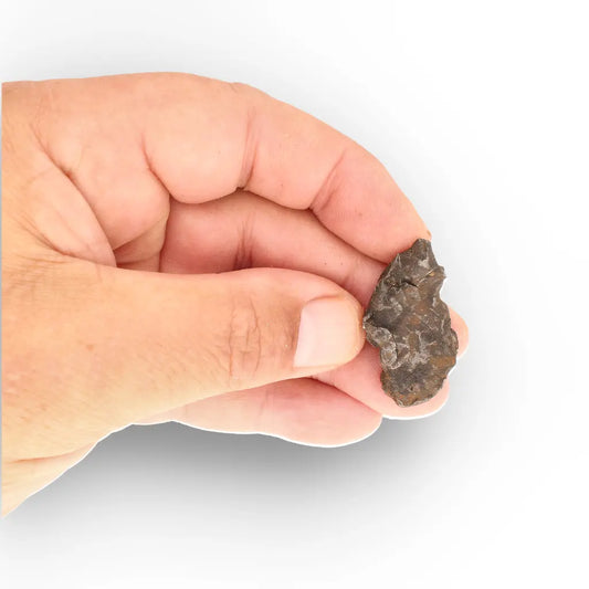 Get your Authentic Gebel Kamil Iron Meteorite – A True Sahara Crater Meteorite online now or in store at Forever Gems in Franschhoek, South Africa