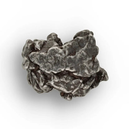 Authentic Campo del Cielo Meteorite Specimen from Argentina