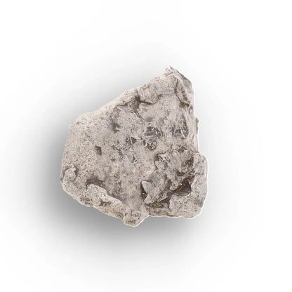 Authentic Agoudal IIAB Iron Meteorite from Morocco