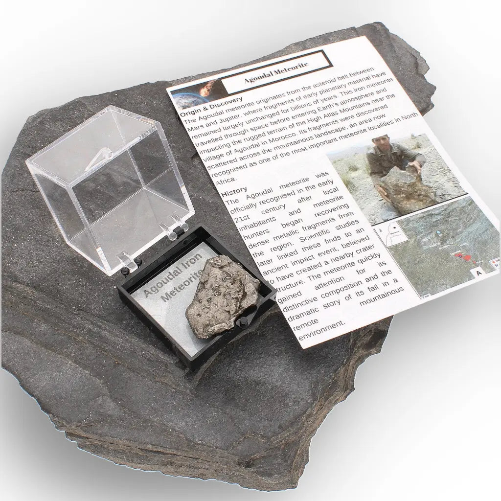 Authentic Agoudal IIAB Iron Meteorite from Morocco