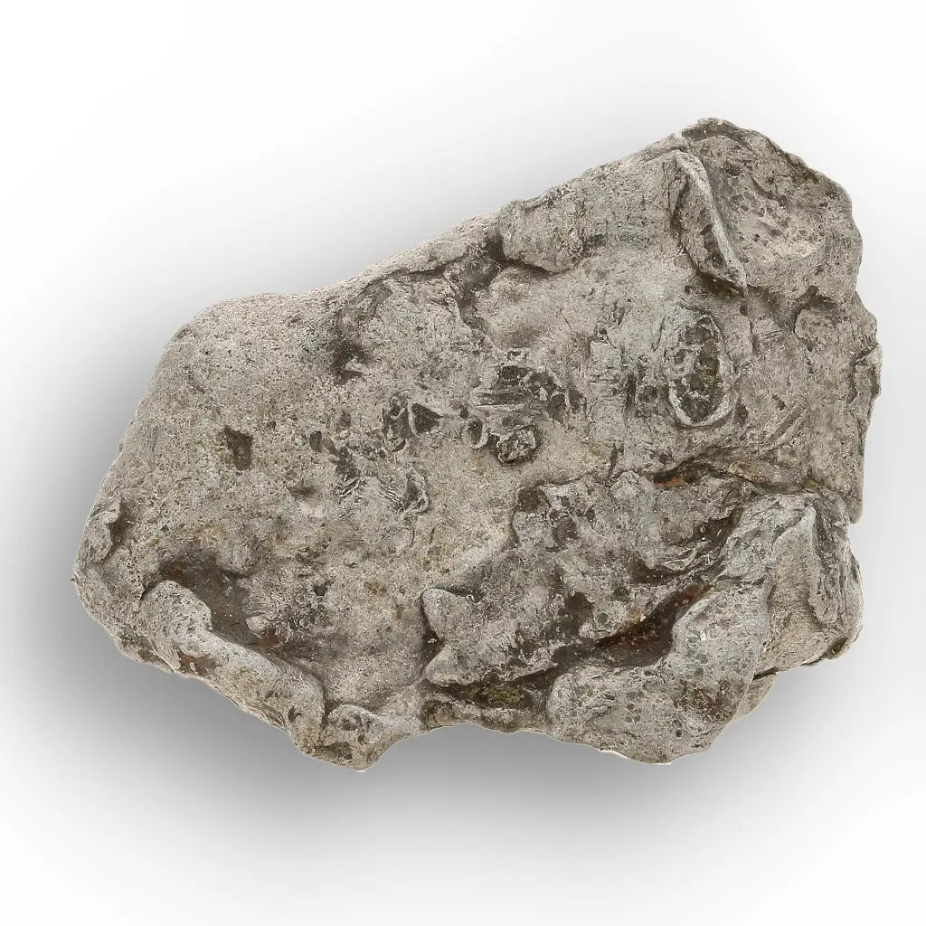 Authentic Agoudal IIAB Iron Meteorite from Morocco