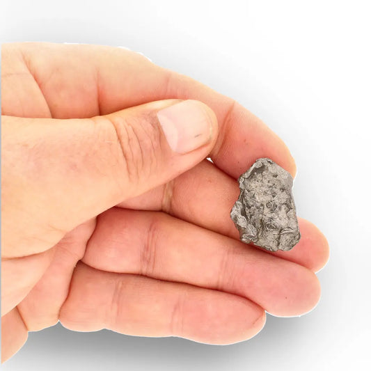 Get your Authentic Agoudal IIAB Iron Meteorite from Morocco online now or in store at Forever Gems in Franschhoek, South Africa