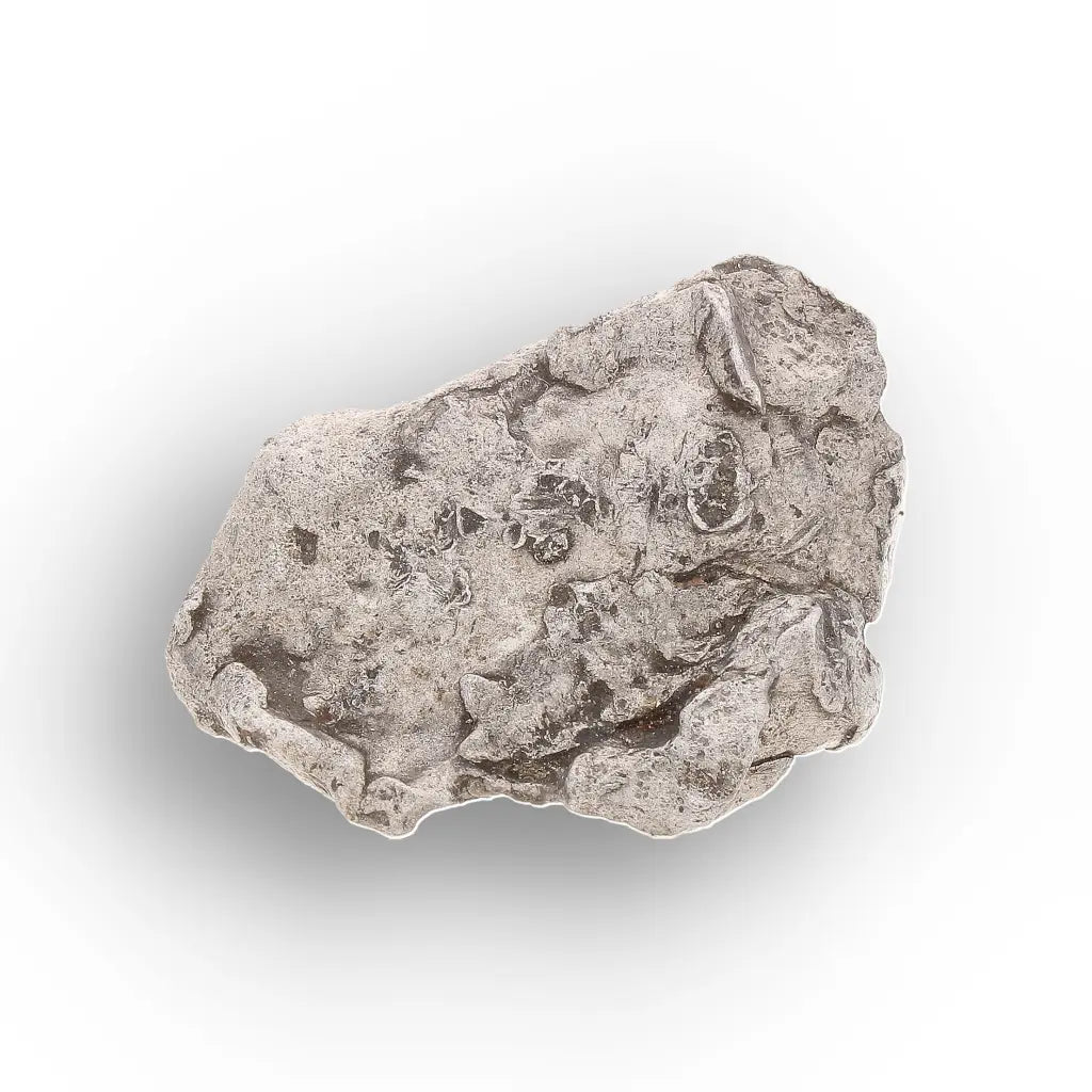 Authentic Agoudal IIAB Iron Meteorite from Morocco