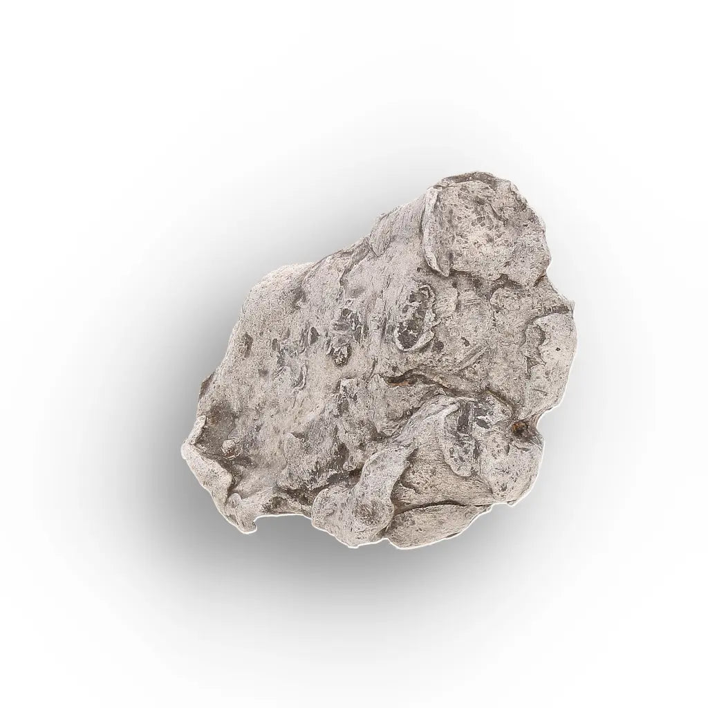 Authentic Agoudal IIAB Iron Meteorite from Morocco