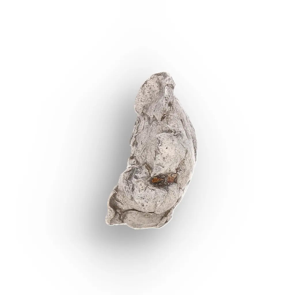 Authentic Agoudal IIAB Iron Meteorite from Morocco