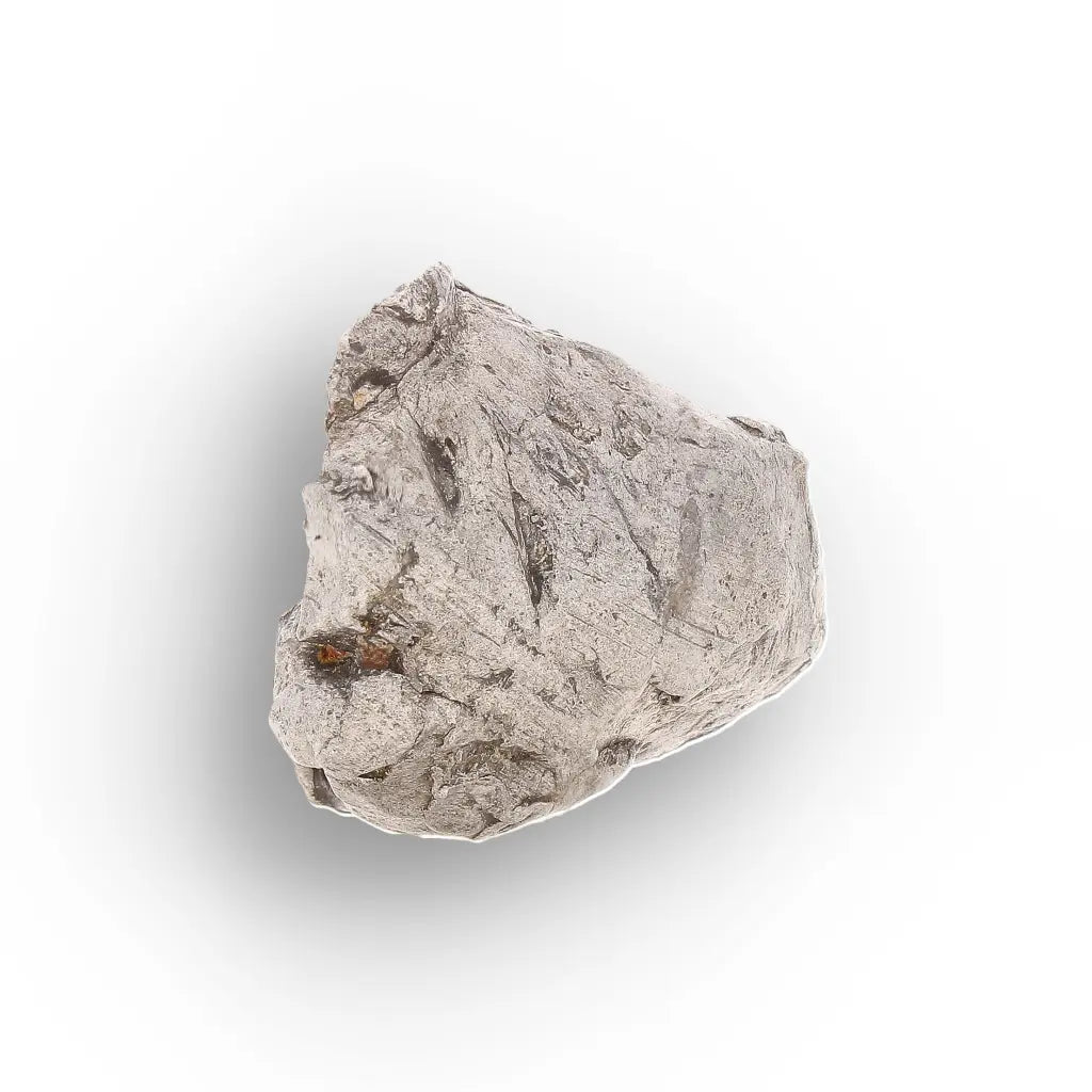 Authentic Agoudal IIAB Iron Meteorite from Morocco
