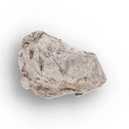 Authentic Agoudal IIAB Iron Meteorite from Morocco