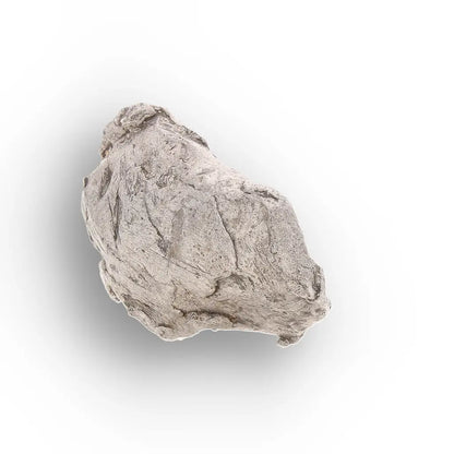 Authentic Agoudal IIAB Iron Meteorite from Morocco