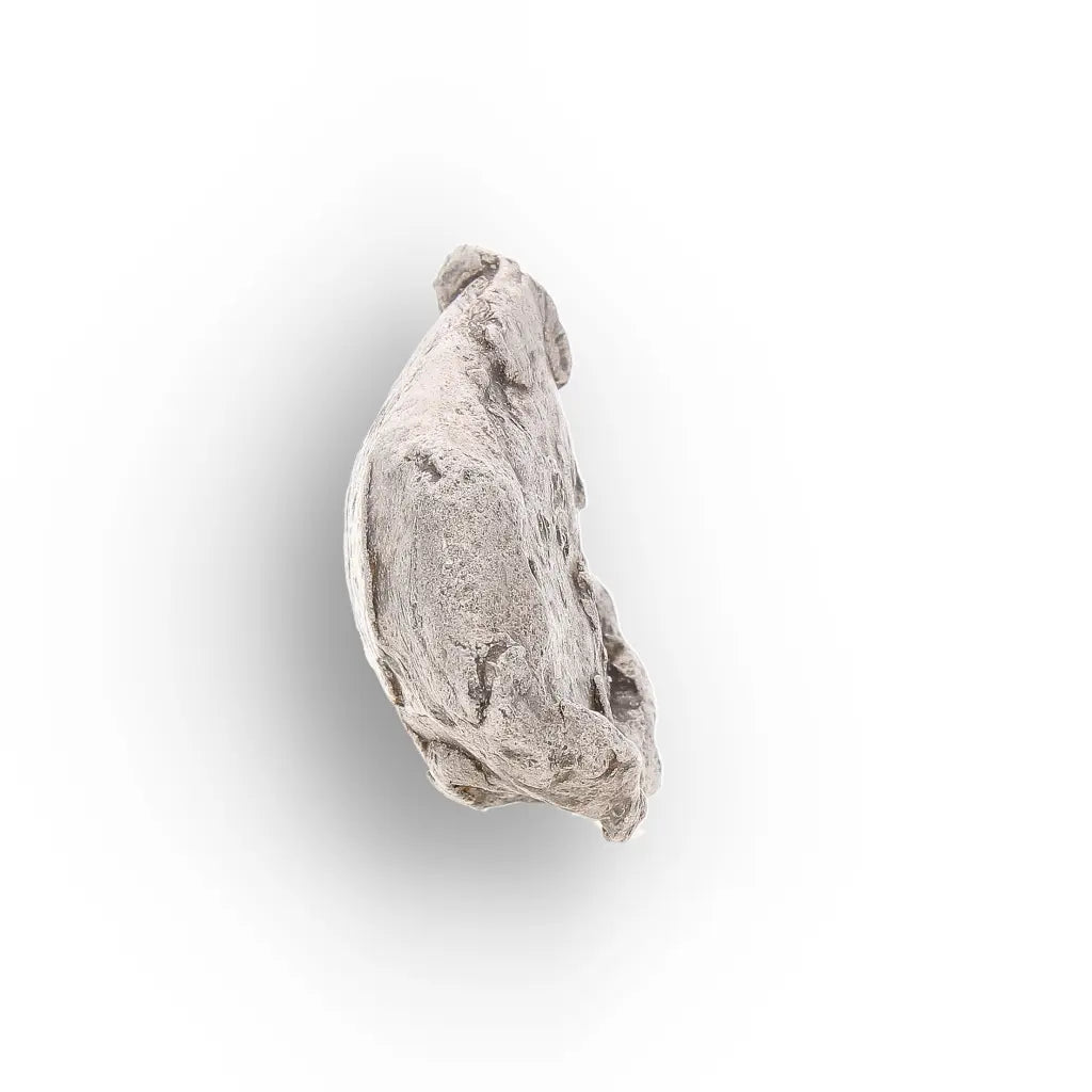 Authentic Agoudal IIAB Iron Meteorite from Morocco