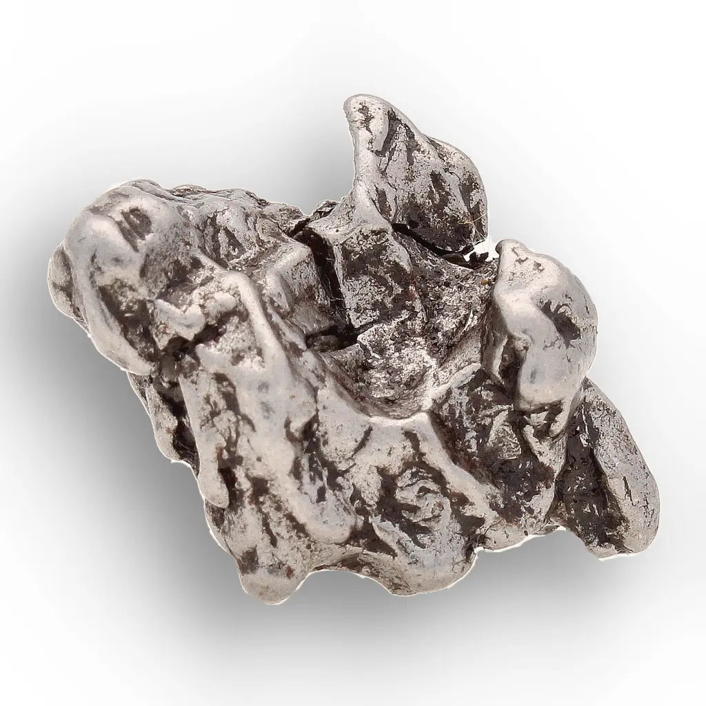 Get your From Ancient Seas to Falling Stars – A Fossil & Meteorite Treasure Chest online now or in store at Forever Gems in Franschhoek, South Africa