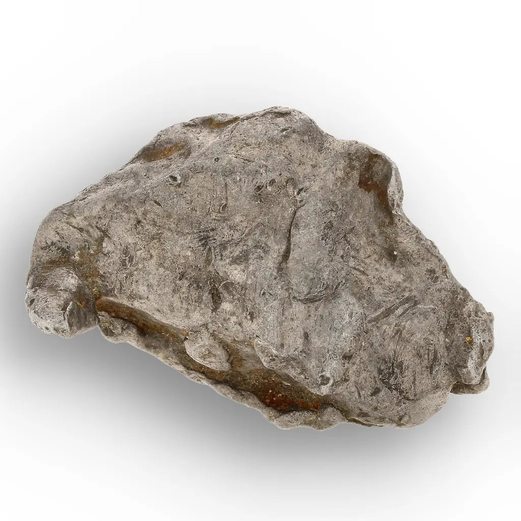Get your Authentic Agoudal Iron Meteorite Fragment from Morocco online now or in store at Forever Gems in Franschhoek, South Africa
