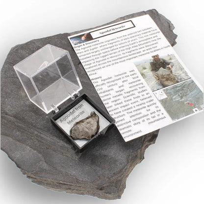 Get your Authentic Agoudal Iron Meteorite Fragment from Morocco online now or in store at Forever Gems in Franschhoek, South Africa