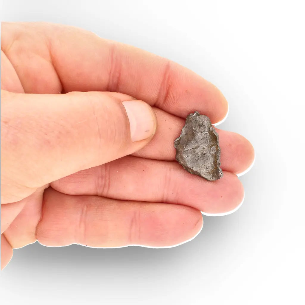 Get your Authentic Agoudal Iron Meteorite Fragment from Morocco online now or in store at Forever Gems in Franschhoek, South Africa