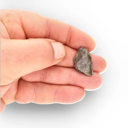 Get your Authentic Agoudal Iron Meteorite Fragment from Morocco online now or in store at Forever Gems in Franschhoek, South Africa