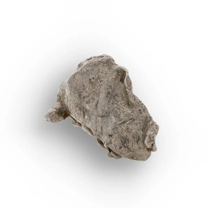 Get your Authentic Agoudal Iron Meteorite Fragment from Morocco online now or in store at Forever Gems in Franschhoek, South Africa