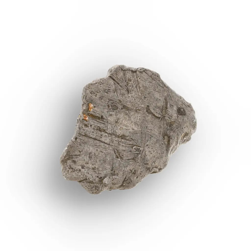 Get your Authentic Agoudal Iron Meteorite Fragment from Morocco online now or in store at Forever Gems in Franschhoek, South Africa