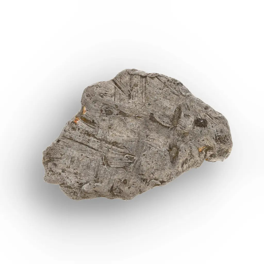Get your Authentic Agoudal Iron Meteorite Fragment from Morocco online now or in store at Forever Gems in Franschhoek, South Africa