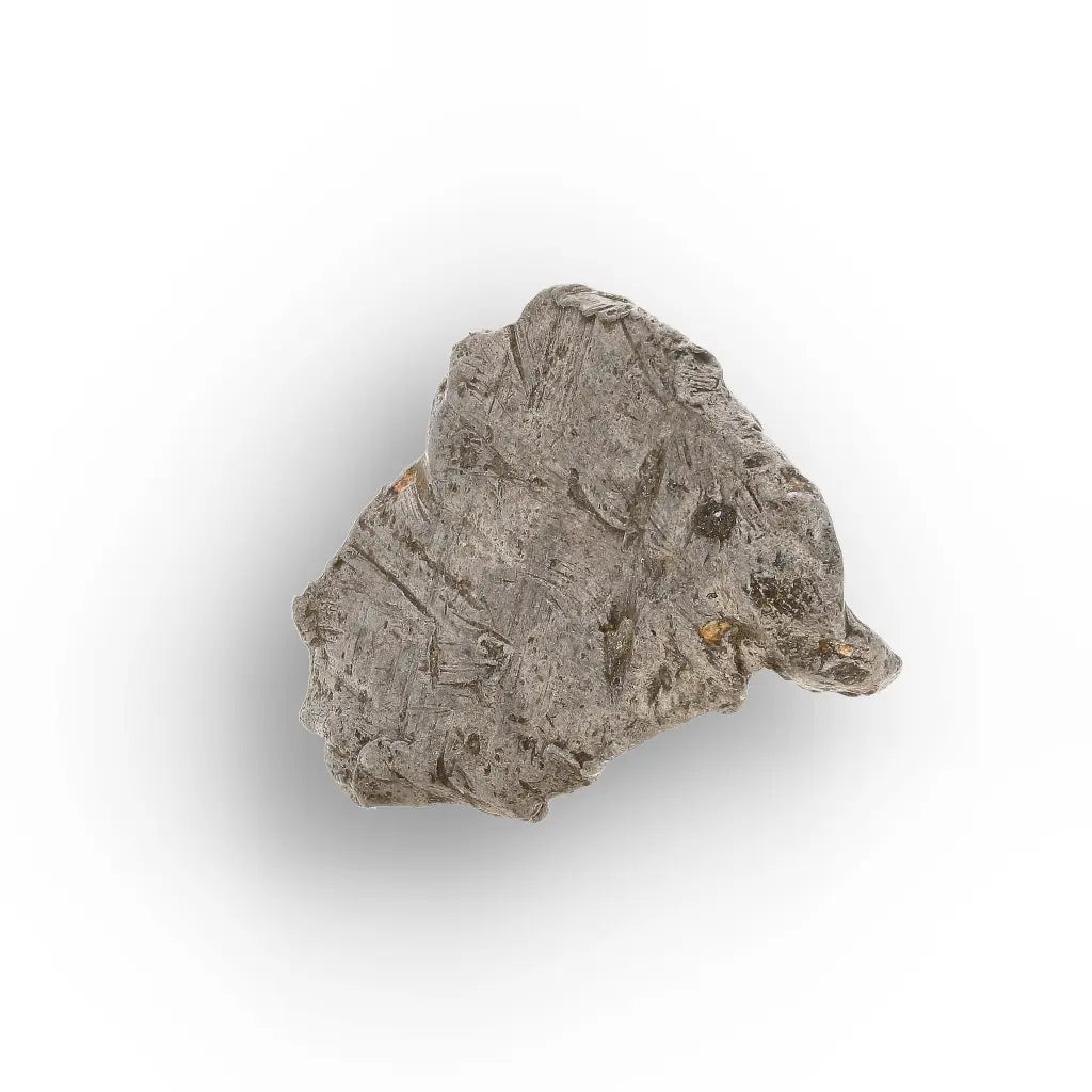 Get your Authentic Agoudal Iron Meteorite Fragment from Morocco online now or in store at Forever Gems in Franschhoek, South Africa