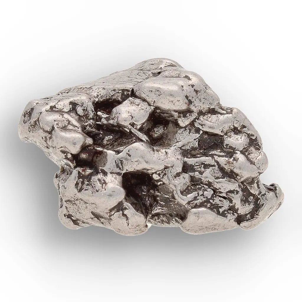 Get your From Ancient Seas to Falling Stars – A Fossil & Meteorite Treasure Chest online now or in store at Forever Gems in Franschhoek, South Africa
