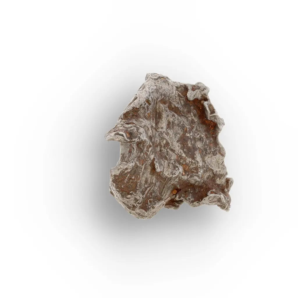 Get your Authentic Agoudal Meteorite Specimen from Morocco online now or in store at Forever Gems in Franschhoek, South Africa