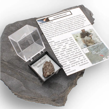Get your Authentic Agoudal Meteorite Specimen from Morocco online now or in store at Forever Gems in Franschhoek, South Africa