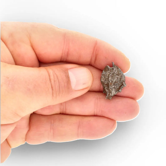 Get your Authentic Agoudal Meteorite Specimen from Morocco online now or in store at Forever Gems in Franschhoek, South Africa