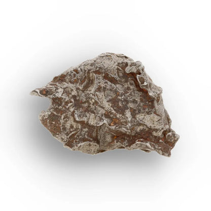 Get your Authentic Agoudal Meteorite Specimen from Morocco online now or in store at Forever Gems in Franschhoek, South Africa