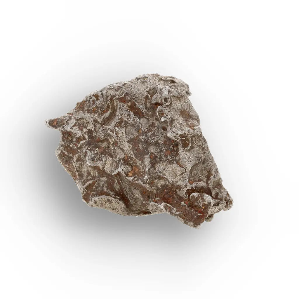 Get your Authentic Agoudal Meteorite Specimen from Morocco online now or in store at Forever Gems in Franschhoek, South Africa