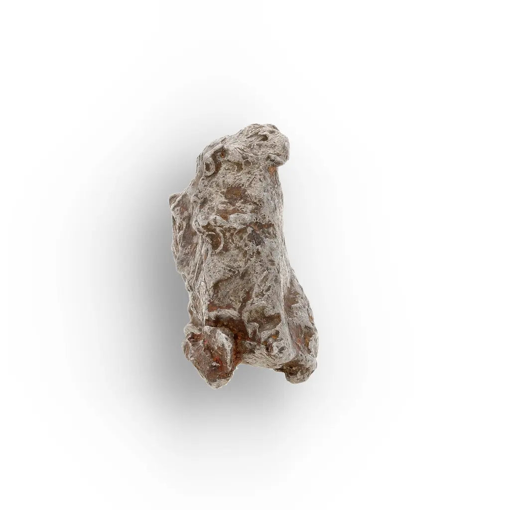 Get your Authentic Agoudal Meteorite Specimen from Morocco online now or in store at Forever Gems in Franschhoek, South Africa