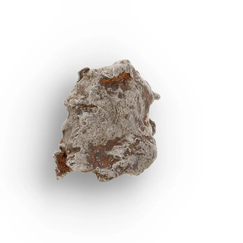 Get your Authentic Agoudal Meteorite Specimen from Morocco online now or in store at Forever Gems in Franschhoek, South Africa