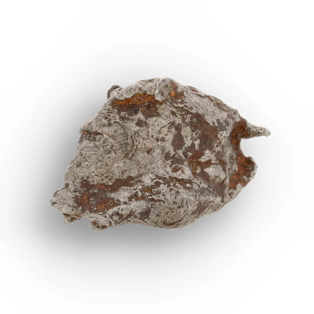 Get your Authentic Agoudal Meteorite Specimen from Morocco online now or in store at Forever Gems in Franschhoek, South Africa
