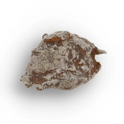 Get your Authentic Agoudal Meteorite Specimen from Morocco online now or in store at Forever Gems in Franschhoek, South Africa