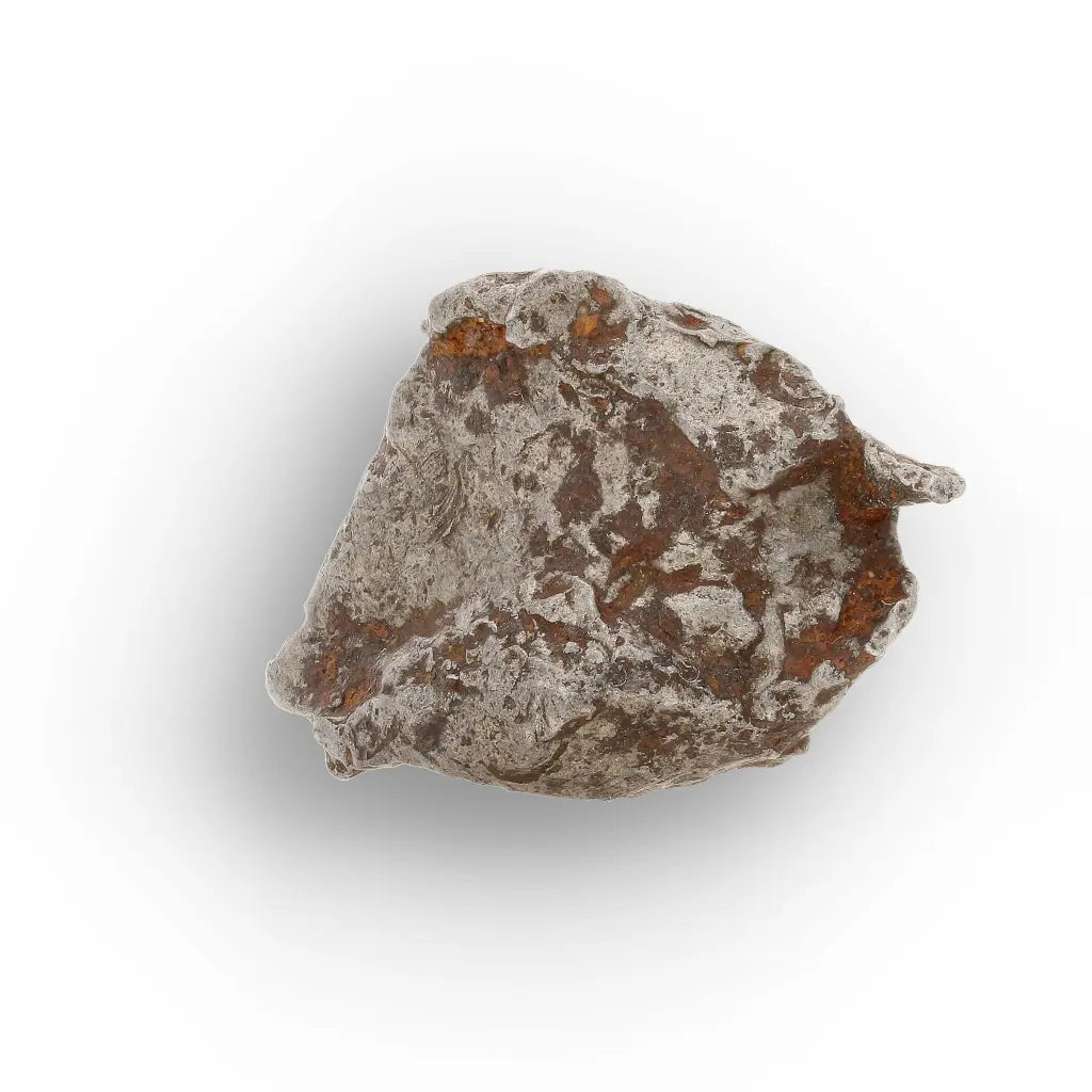 Get your Authentic Agoudal Meteorite Specimen from Morocco online now or in store at Forever Gems in Franschhoek, South Africa