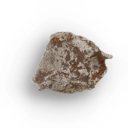 Get your Authentic Agoudal Meteorite Specimen from Morocco online now or in store at Forever Gems in Franschhoek, South Africa