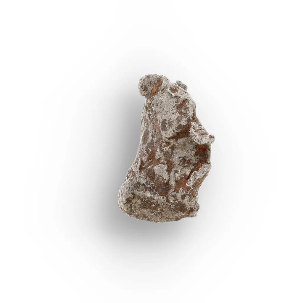 Get your Authentic Agoudal Meteorite Specimen from Morocco online now or in store at Forever Gems in Franschhoek, South Africa