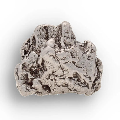 Get your From Ancient Seas to Falling Stars – A Fossil & Meteorite Treasure Chest online now or in store at Forever Gems in Franschhoek, South Africa